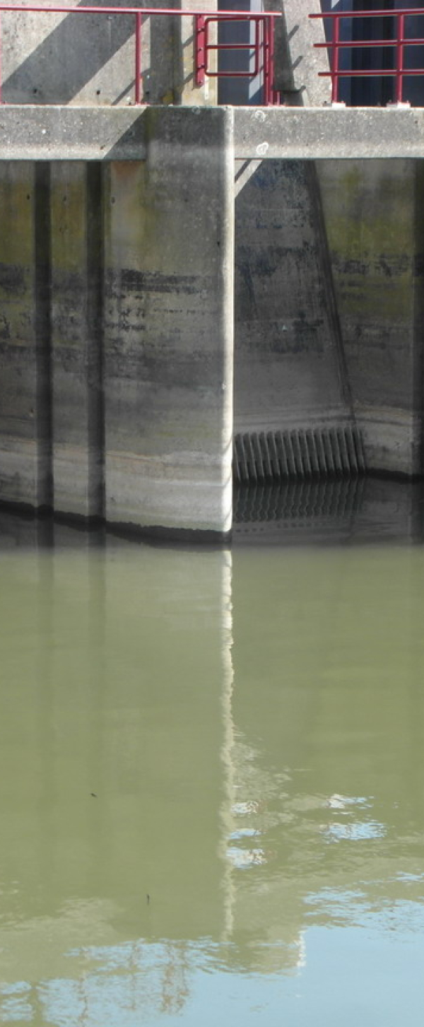 Deventer 6.JPG