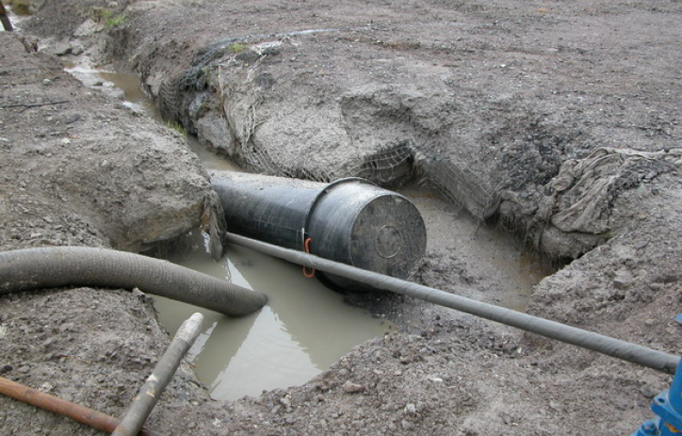 v s Hanab Dornum (Dsld ) 011 verkleind.jpg