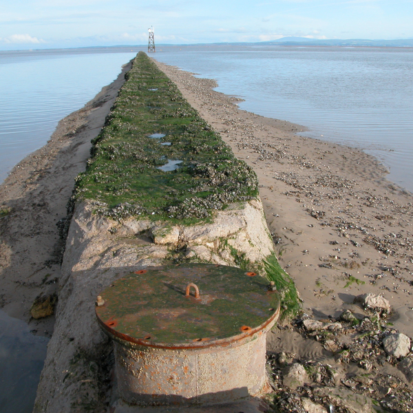 Daemmer Morecombe bay 007.jpg